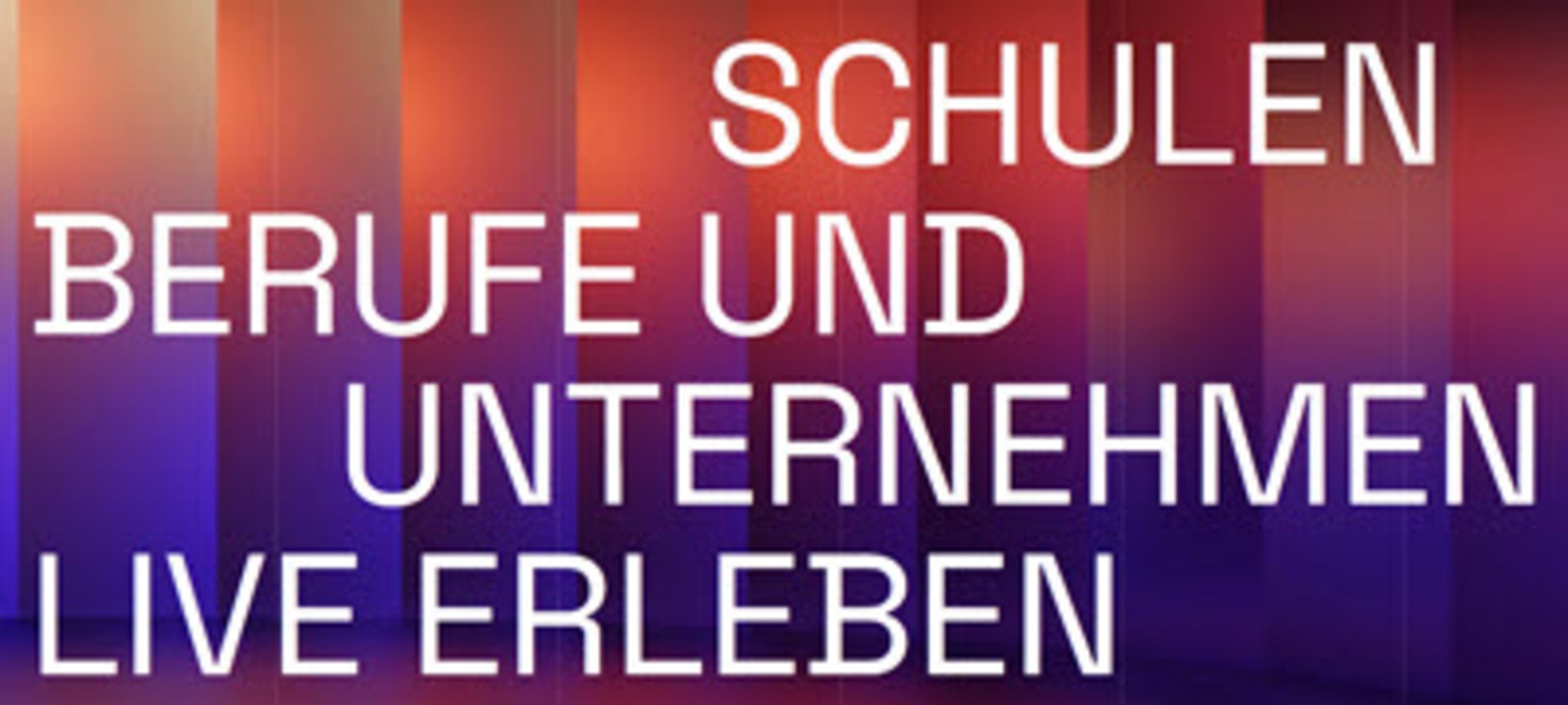 Chancentage, Unternehmen und Schule