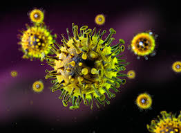Hepatitis B Impfung 1. Klassen