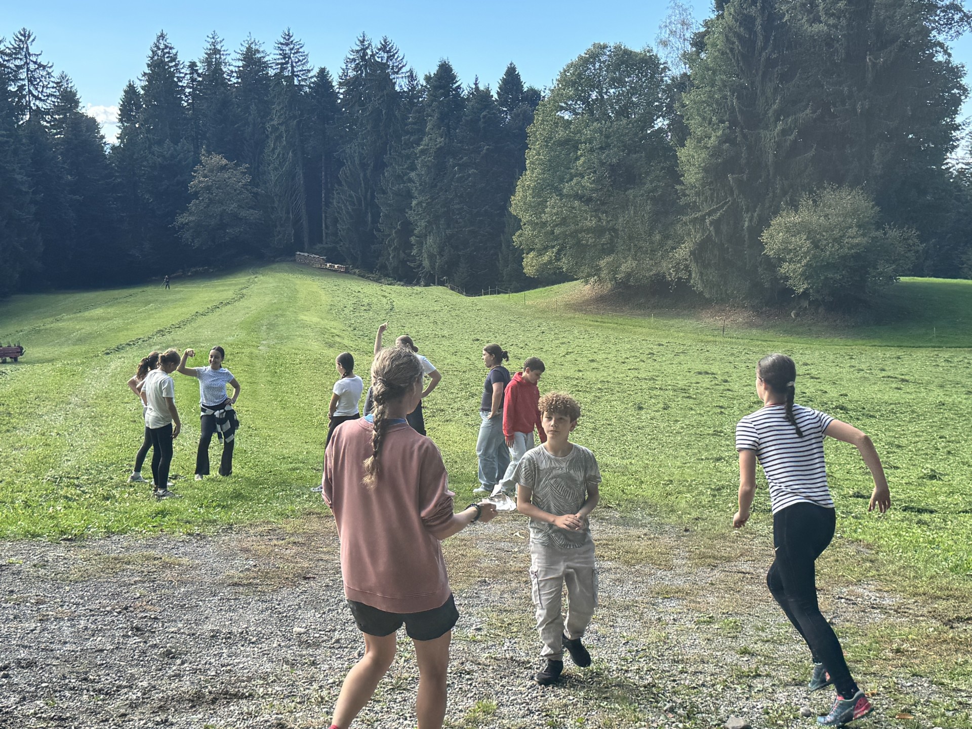 Biologie und Kunst einmal anders – die 2b im Wald