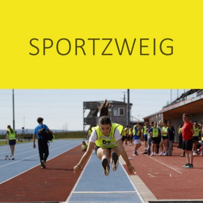 sportzweig